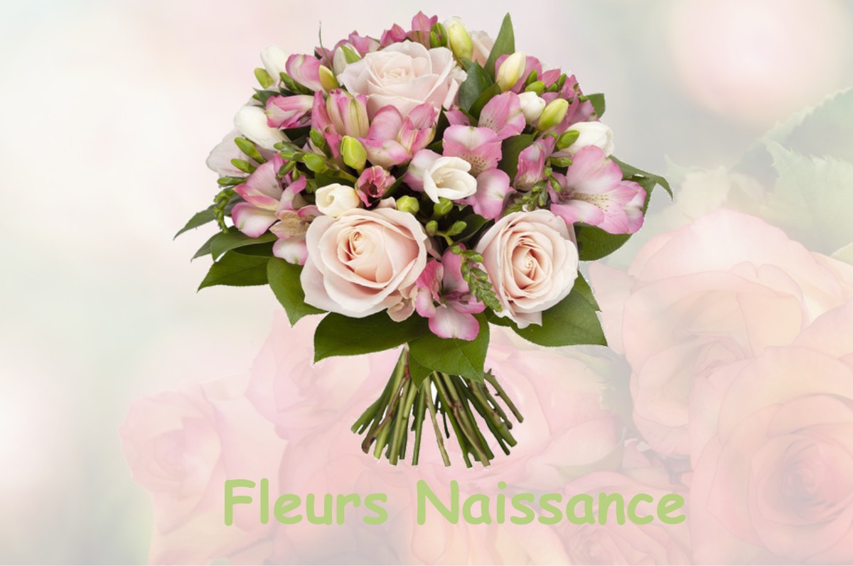 fleurs naissance SAUSSENS