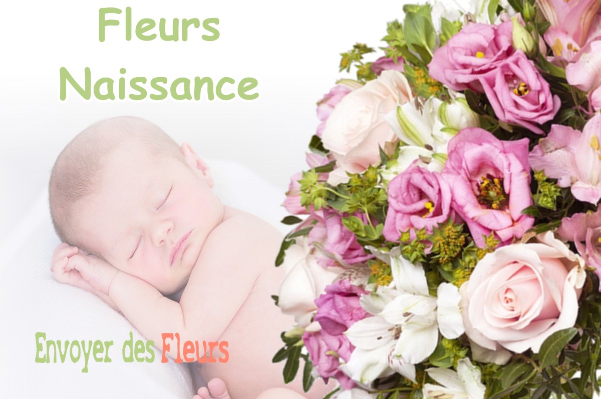 lIVRAISON FLEURS NAISSANCE à SAUSSENS